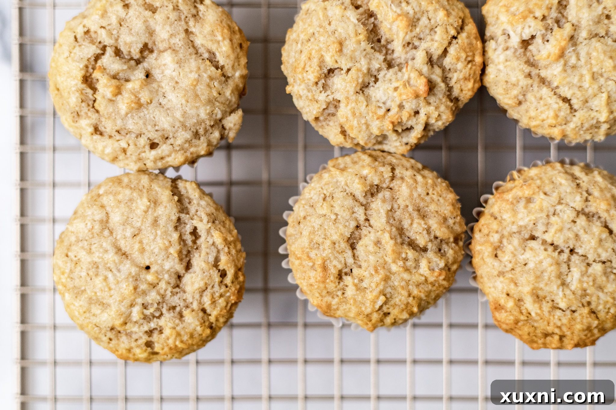 Decadent Vegan Coconut Cupcakes Gluten Free Adaptable 9 baked vegan coconut cupcakes