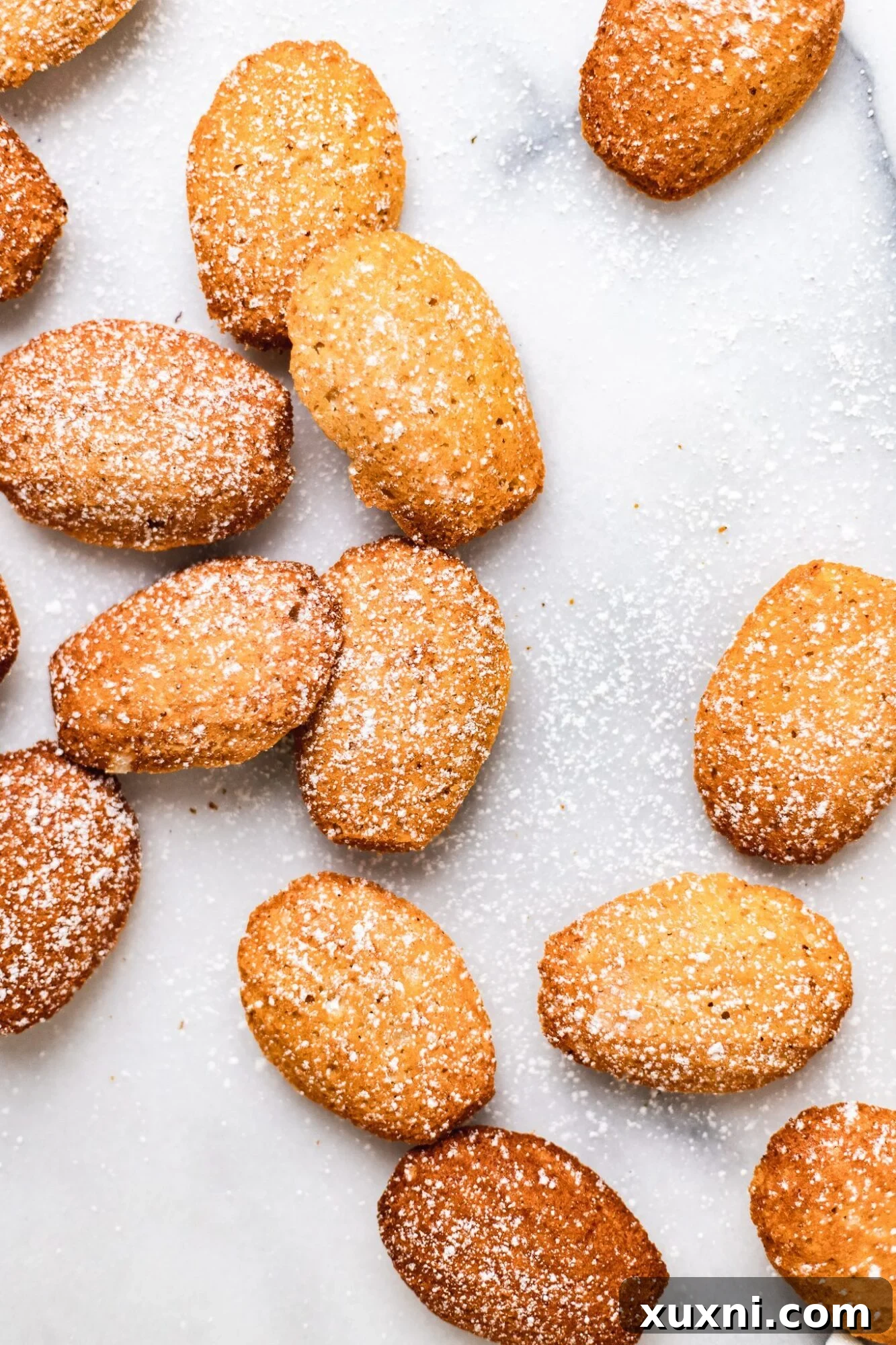 Best Vegan Madeleines - perfectly golden, fluffy, and shell-shaped
