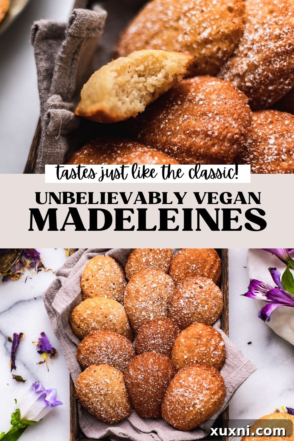 Pinterest graphic for vegan madeleines recipe