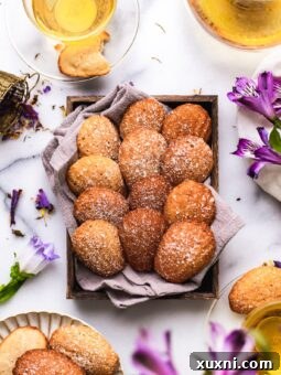 BEST Vegan Madeleines (Easy + Gluten Free Option!)