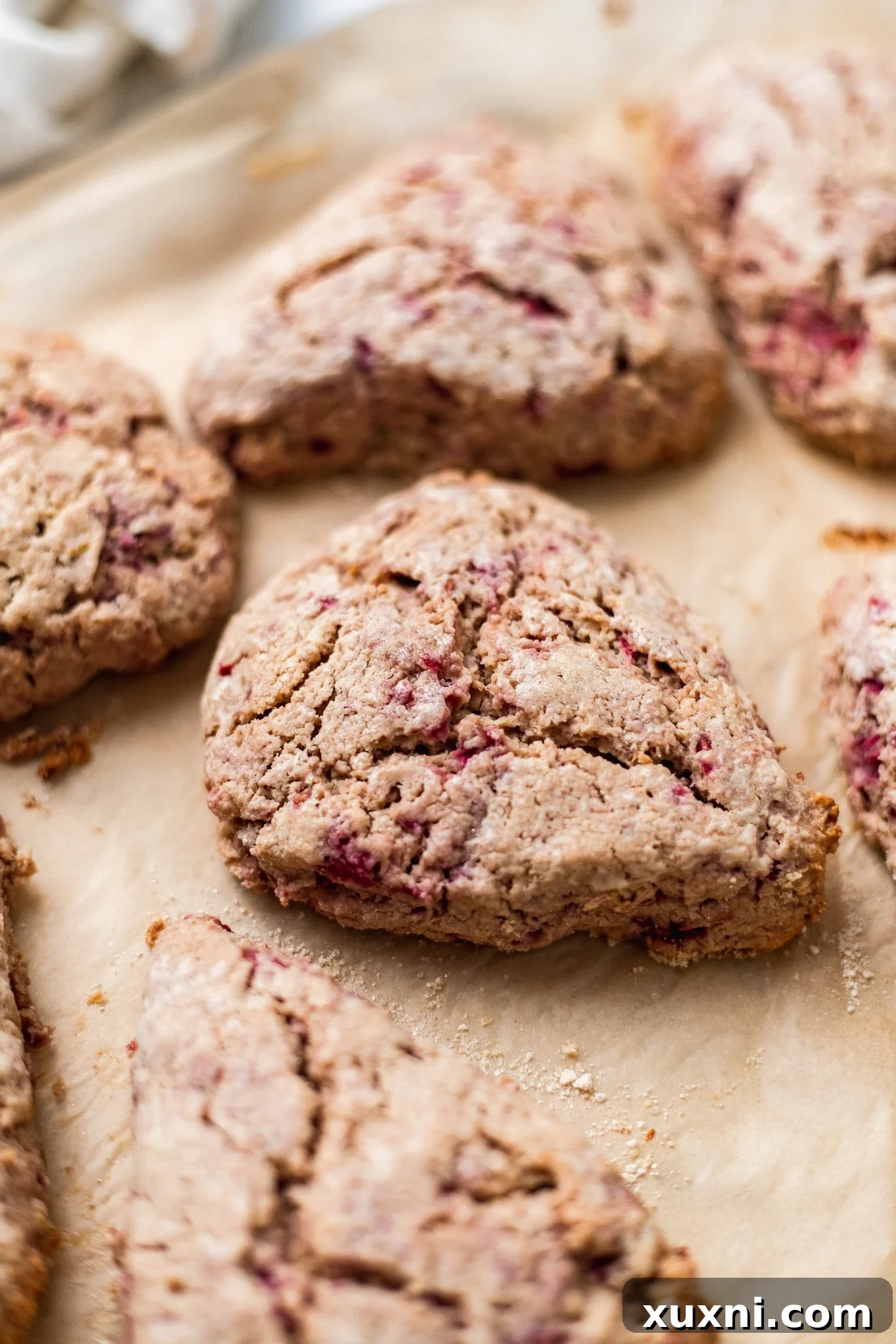 Freshly baked vegan lemon raspberry scones on a baking sheet.