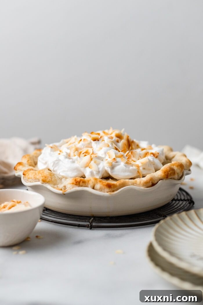 A whole vegan coconut cream pie, beautifully adorned with whipped cream and toasted coconut flakes, ready to be served.