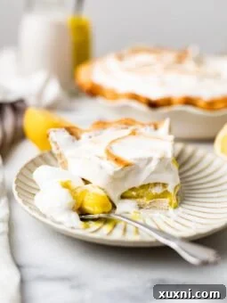 BEST Vegan Lemon Meringue Pie (Gluten Free!) - A luscious slice of vegan lemon meringue pie with a golden toasted meringue topping and a flaky crust.
