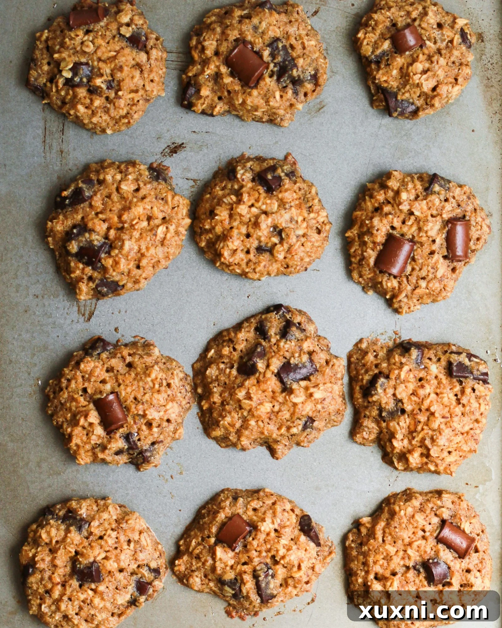 A cookie sheet filled with freshly baked healthy vegan oatmeal chocolate chip cookies, golden and perfectly round.