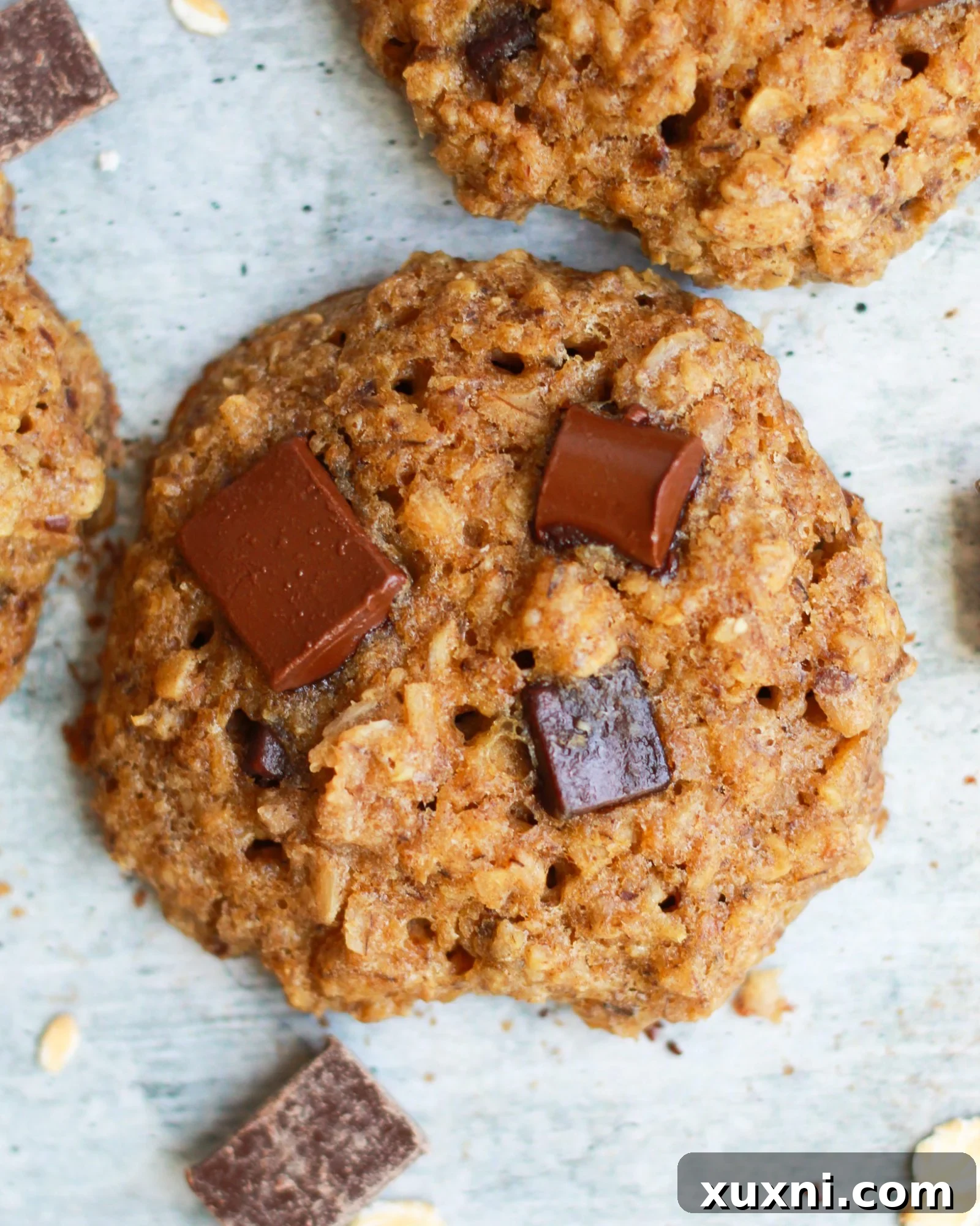 Close-up of a single healthy vegan oatmeal chocolate chip cookie, highlighting its texture and visible chocolate chips.