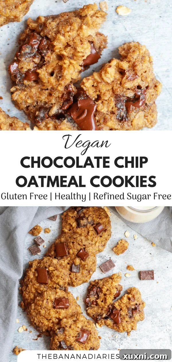 Pinterest image of healthy vegan gluten free chocolate chip oatmeal cookies.
