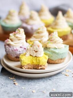 A close-up image of a mini vegan cheesecake with colorful layers and frosting.