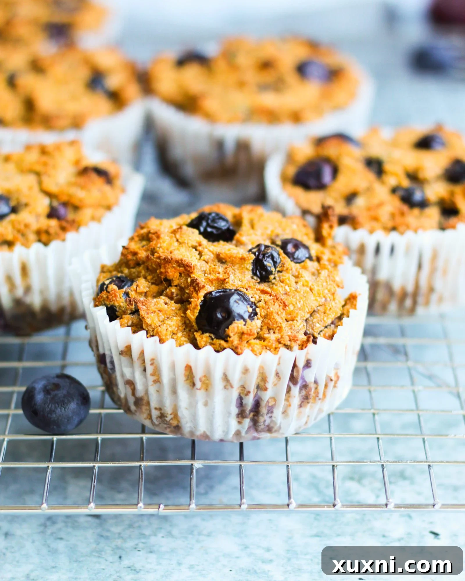 Close-up of a perfectly baked vegan paleo blueberry muffin, showcasing its golden-brown top and juicy blueberries.