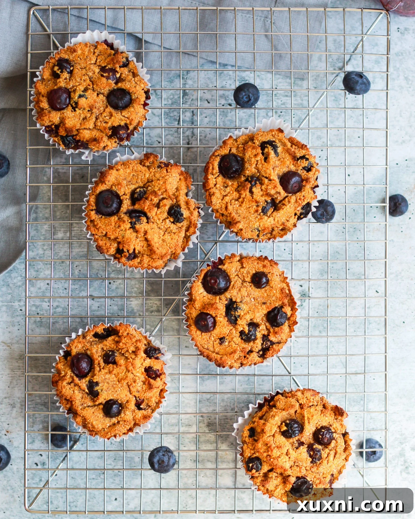 Six freshly baked vegan paleo blueberry muffins arranged neatly on a cooling rack, ready to be enjoyed.