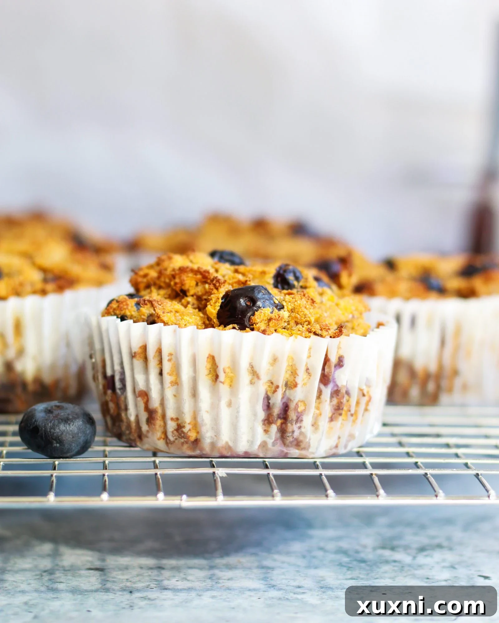 A close-up of a batch of freshly baked vegan blueberry muffins, highlighting their golden tops and visible fruit.
