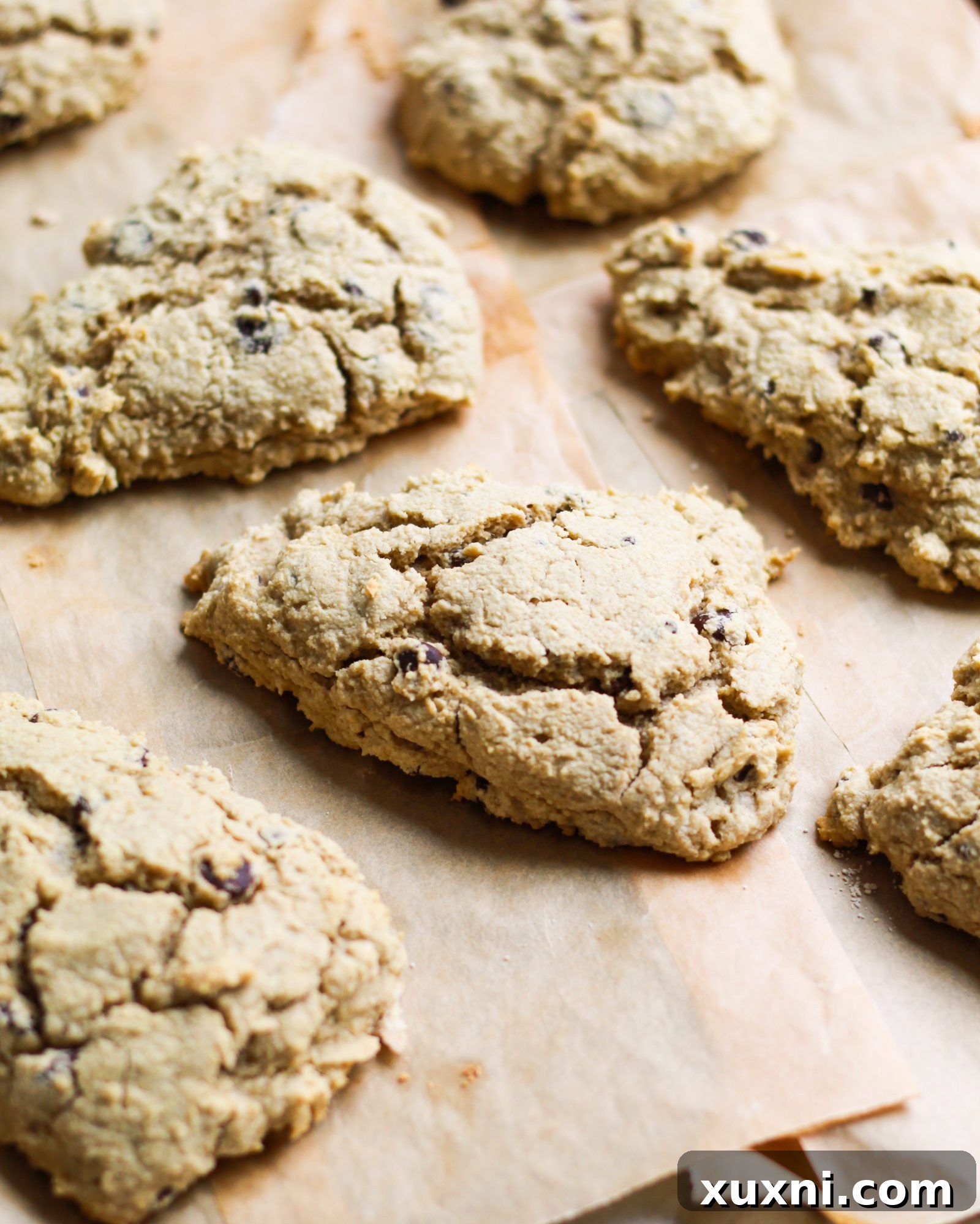 Freshly baked healthy chocolate chip scones on parchment paper, cooling on a wire rack