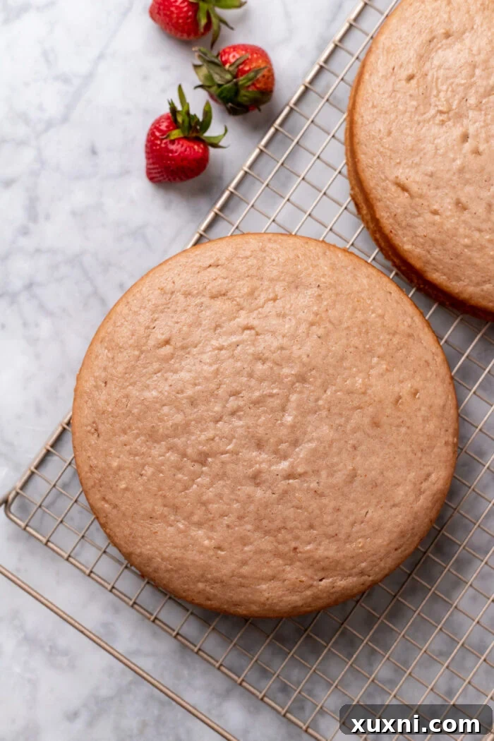 Perfectly baked golden-brown strawberry cake layers cooling on a wire rack.