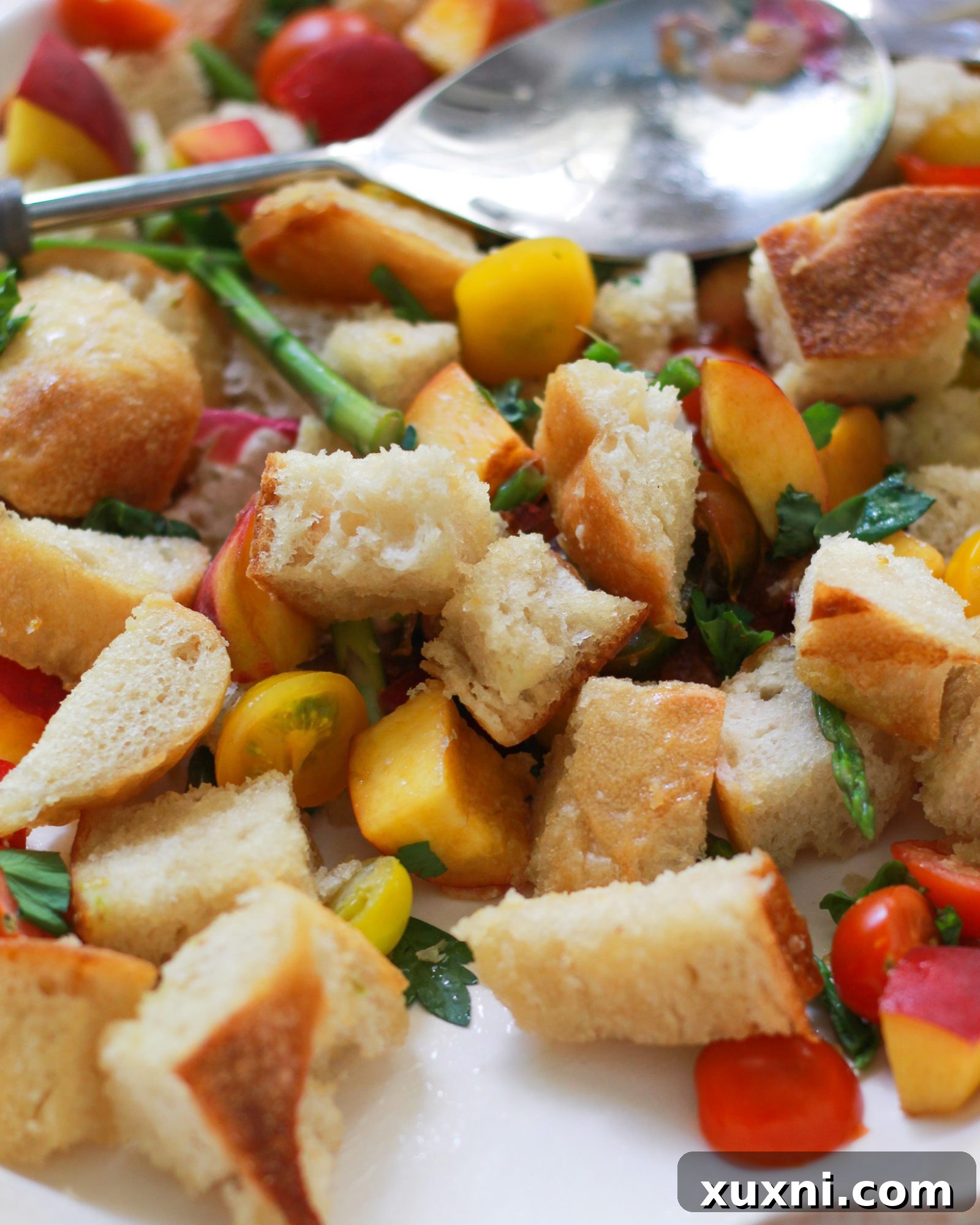 close up of traditional Tuscan bread salad