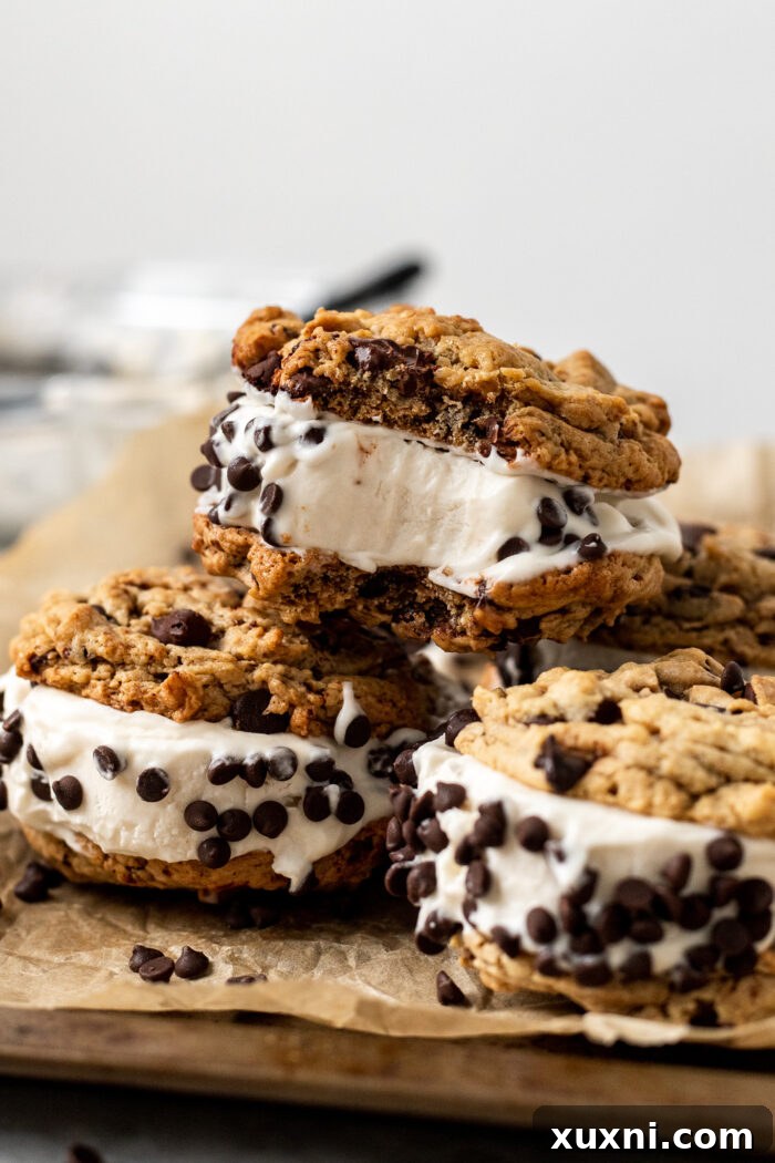Indulgent Homemade Vegan Chipwich 11 stacked bitten vegan ice cream sandwiches