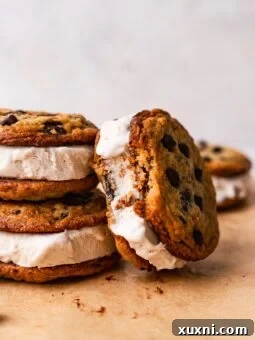 Homemade Vegan Ice Cream Sandwiches (Gluten Free!)