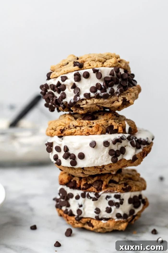 Indulgent Homemade Vegan Chipwich 3 stacked ice cream sandwiches