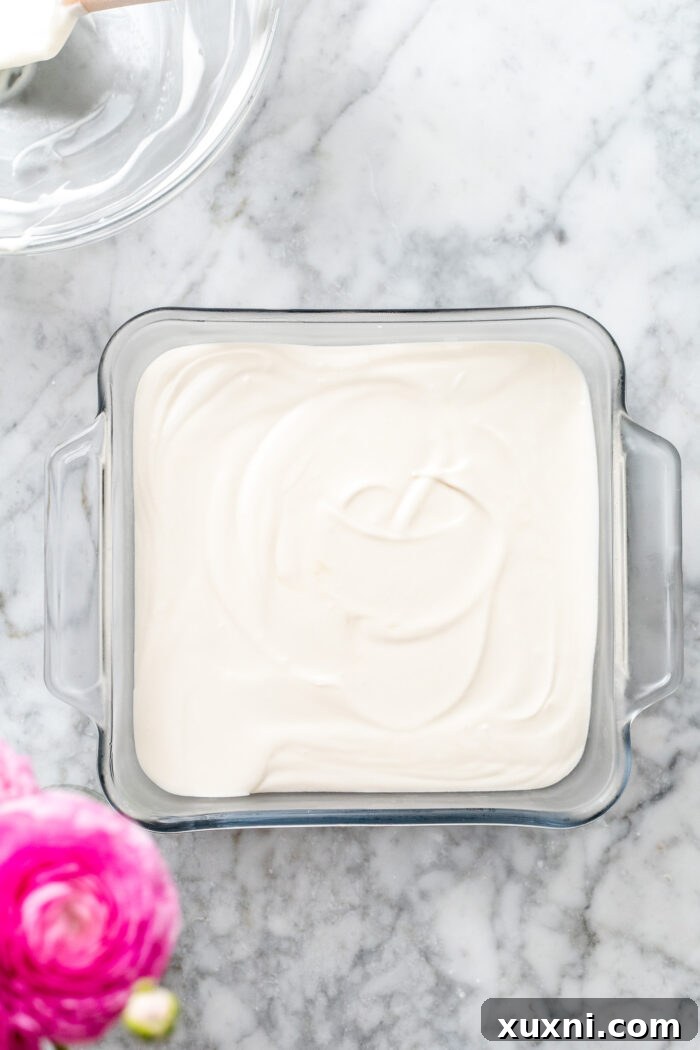 Indulgent Homemade Vegan Chipwich 8 freezing the vegan ice cream