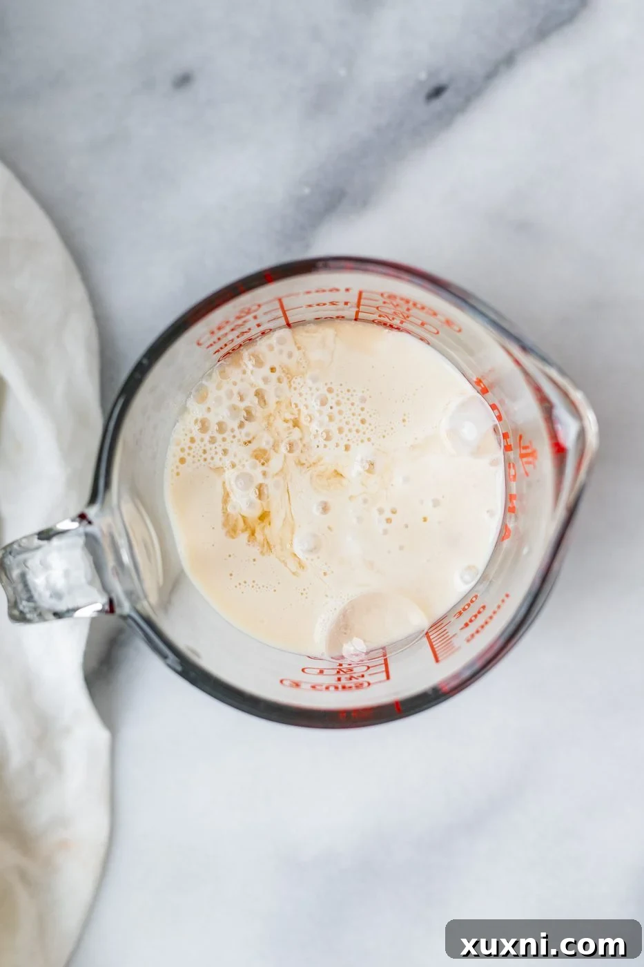 dairy free milk with vinegar