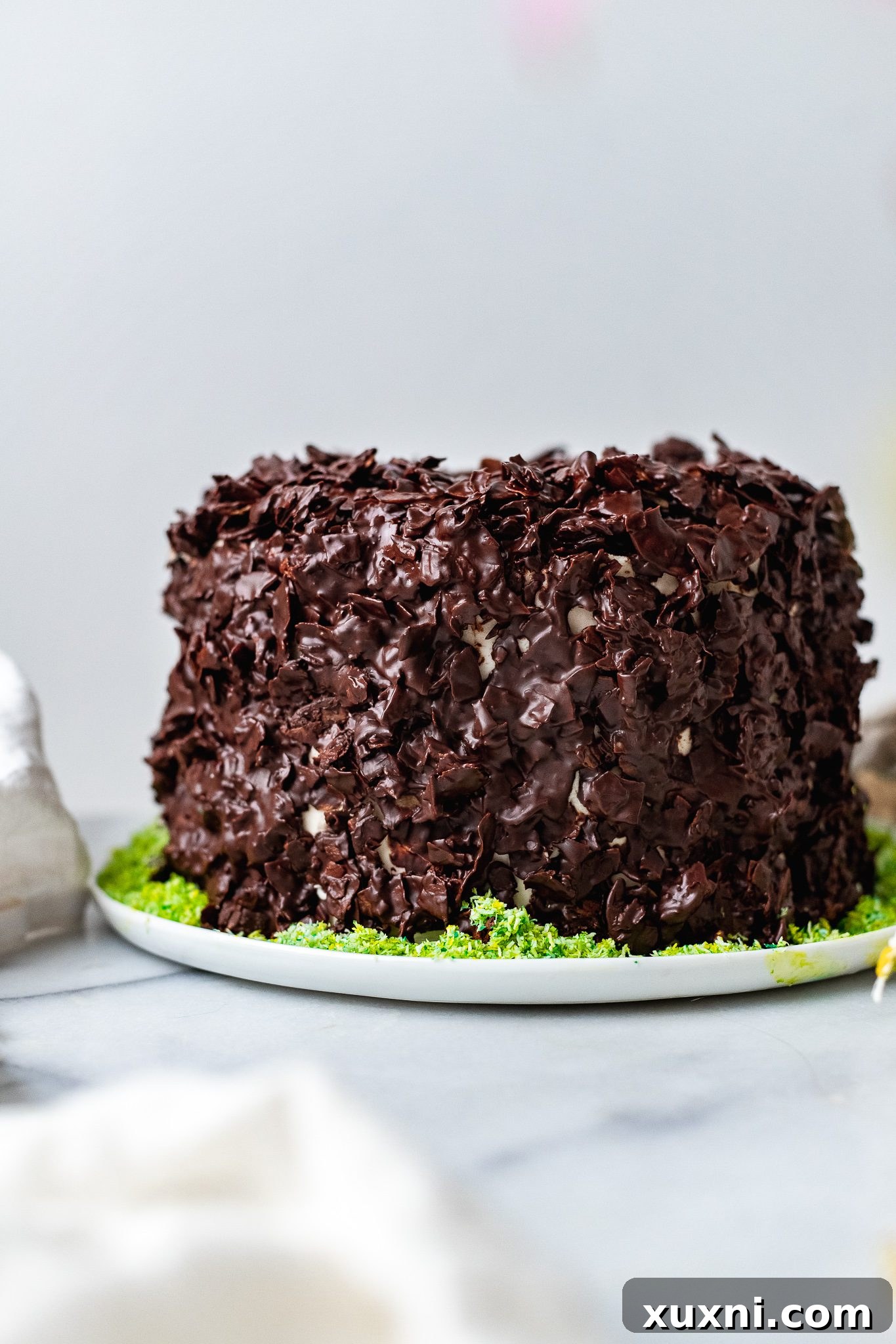 Chocolate coconut cake with a generous layer of toasted coconut flakes pressed into the frosting.