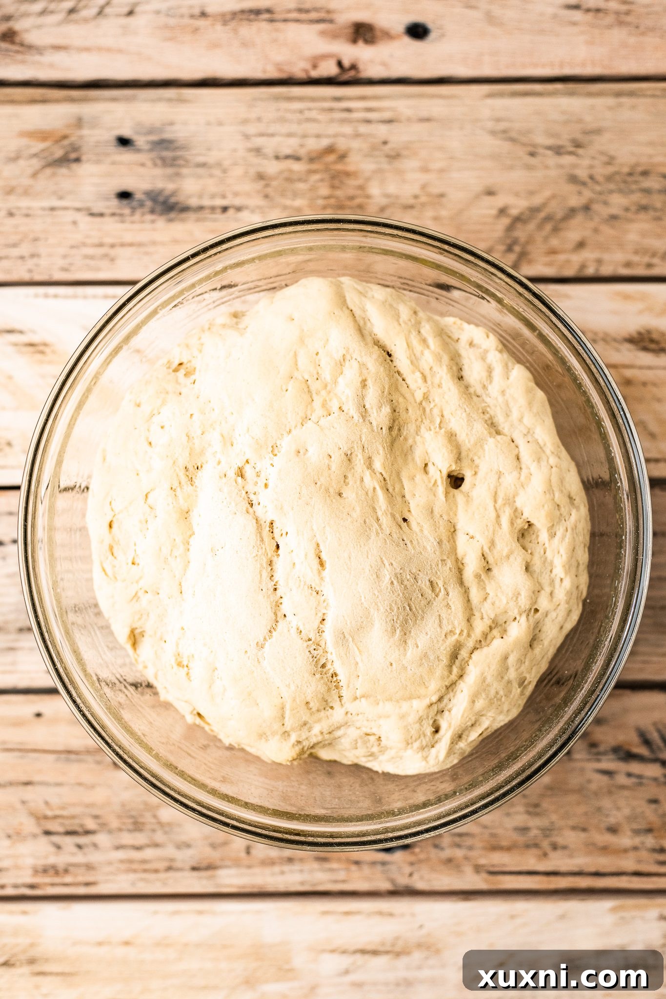 Gluten free pizza dough after rising, doubled in size