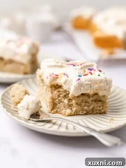 Easy & Delicious Vegan Vanilla Sheet Cake 13 slice of vanilla sheet cake on a plate