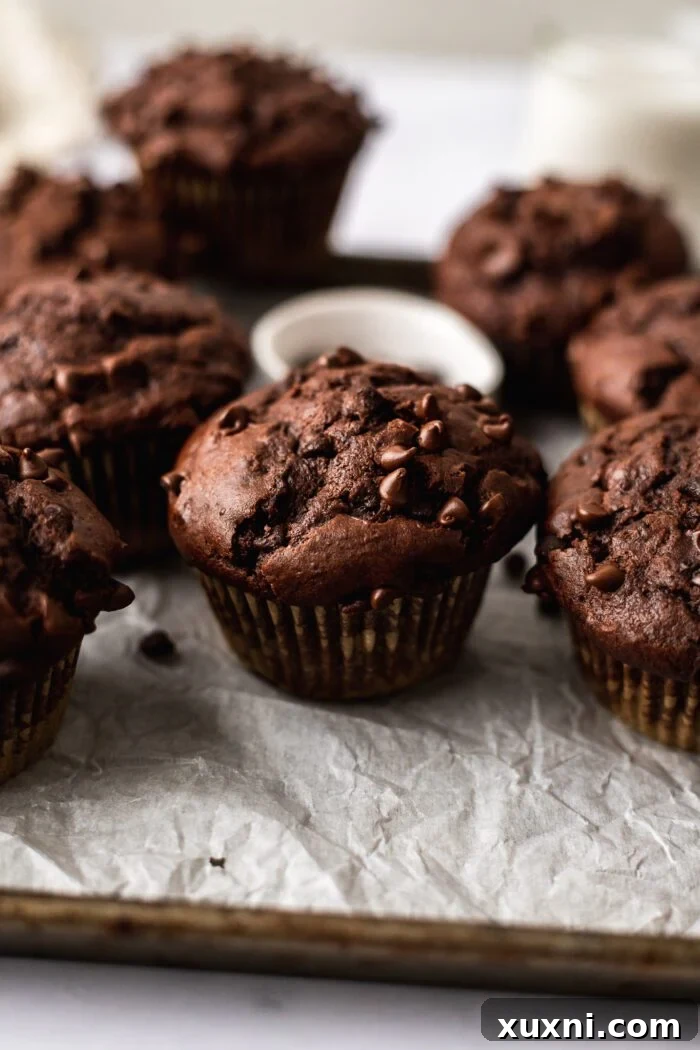 vegan chocolate muffins on parchment paper