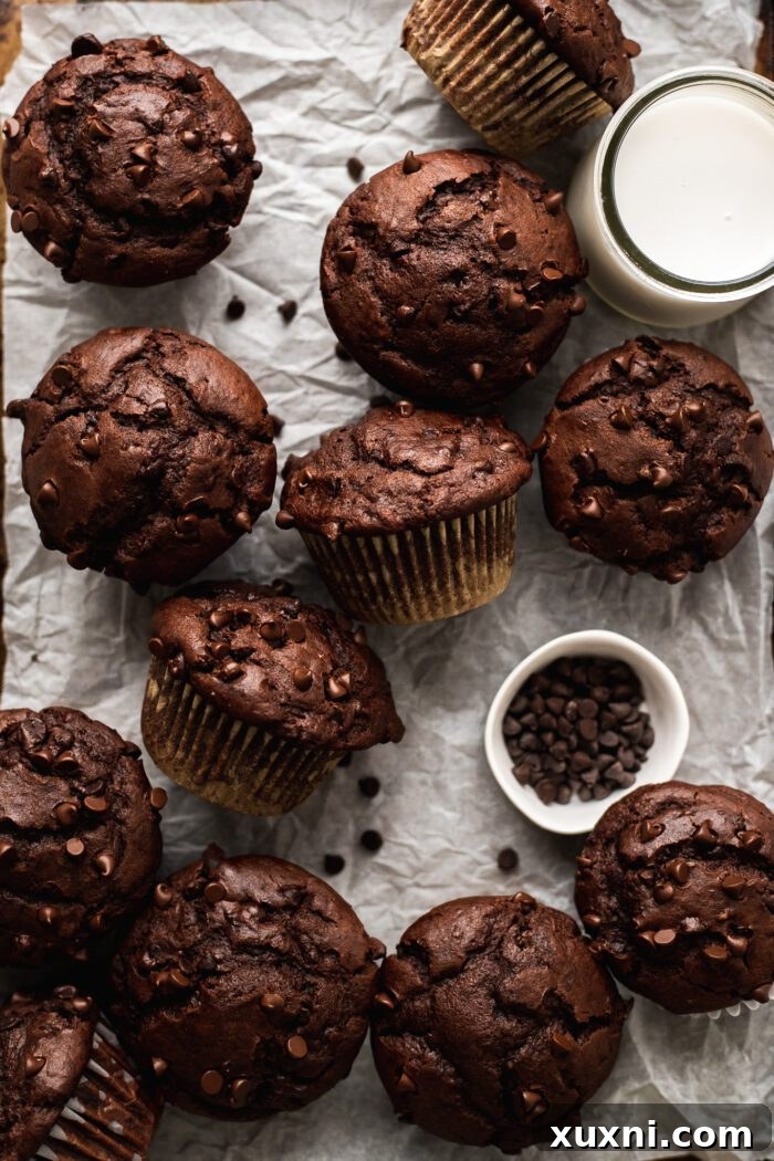 vegan chocolate muffins on a baking sheet with parchment paper