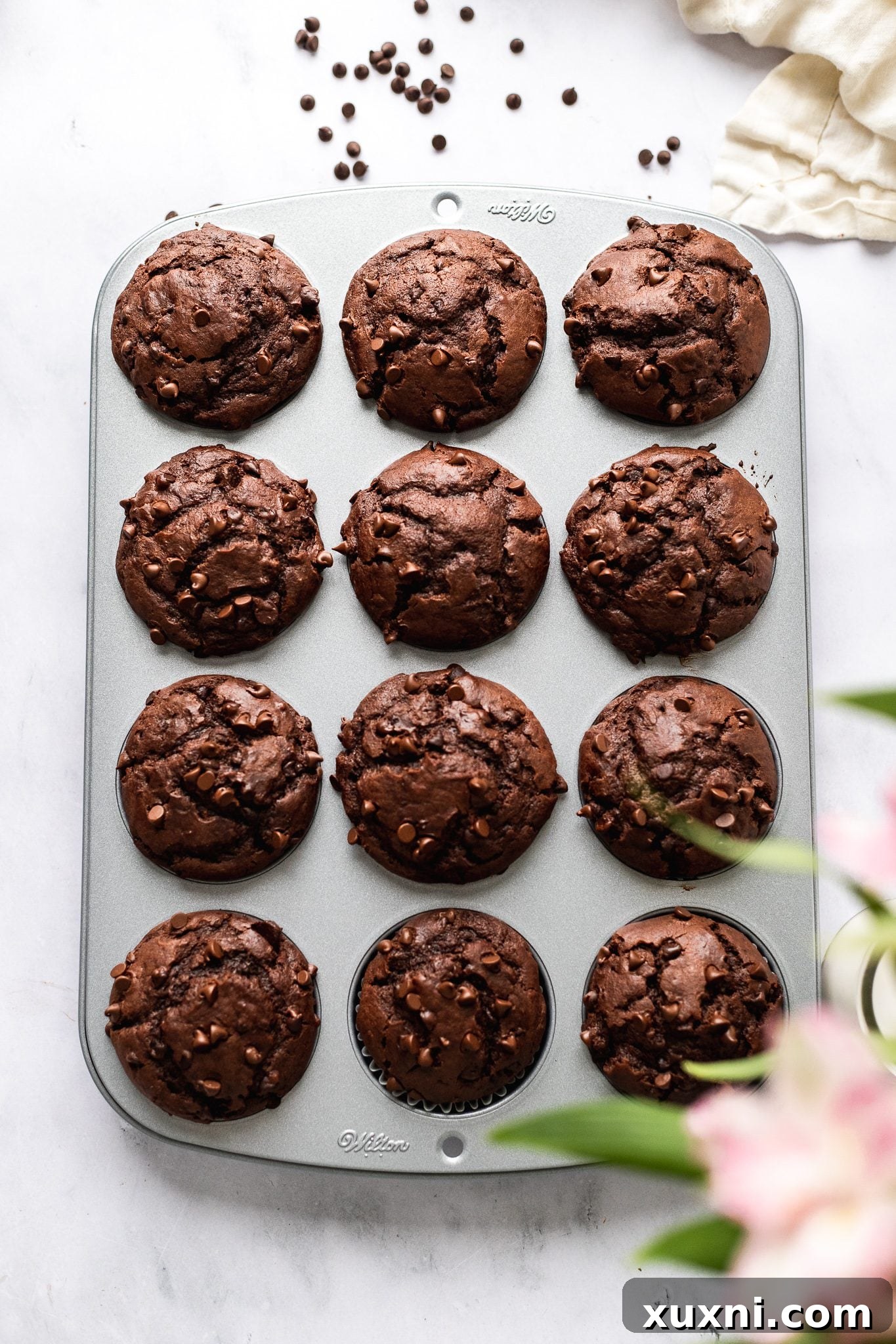 baked vegan chocolate muffins in tin