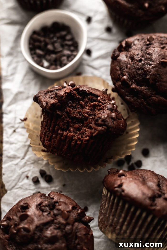 bitten vegan chocolate muffins