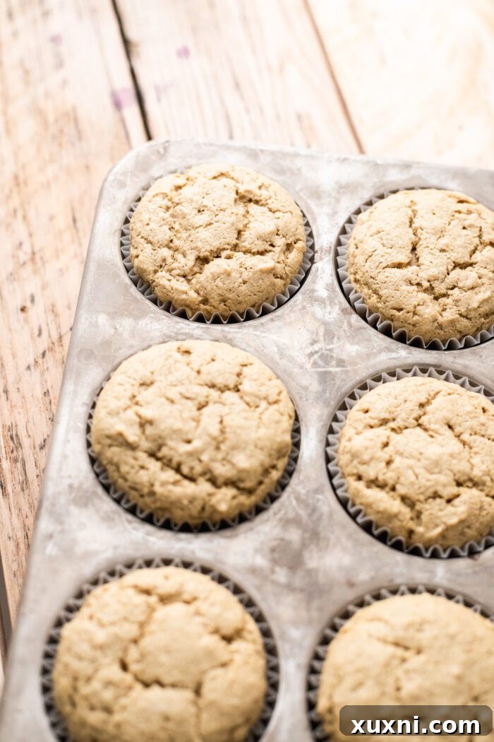 vegan cupcakes in cupcake tin
