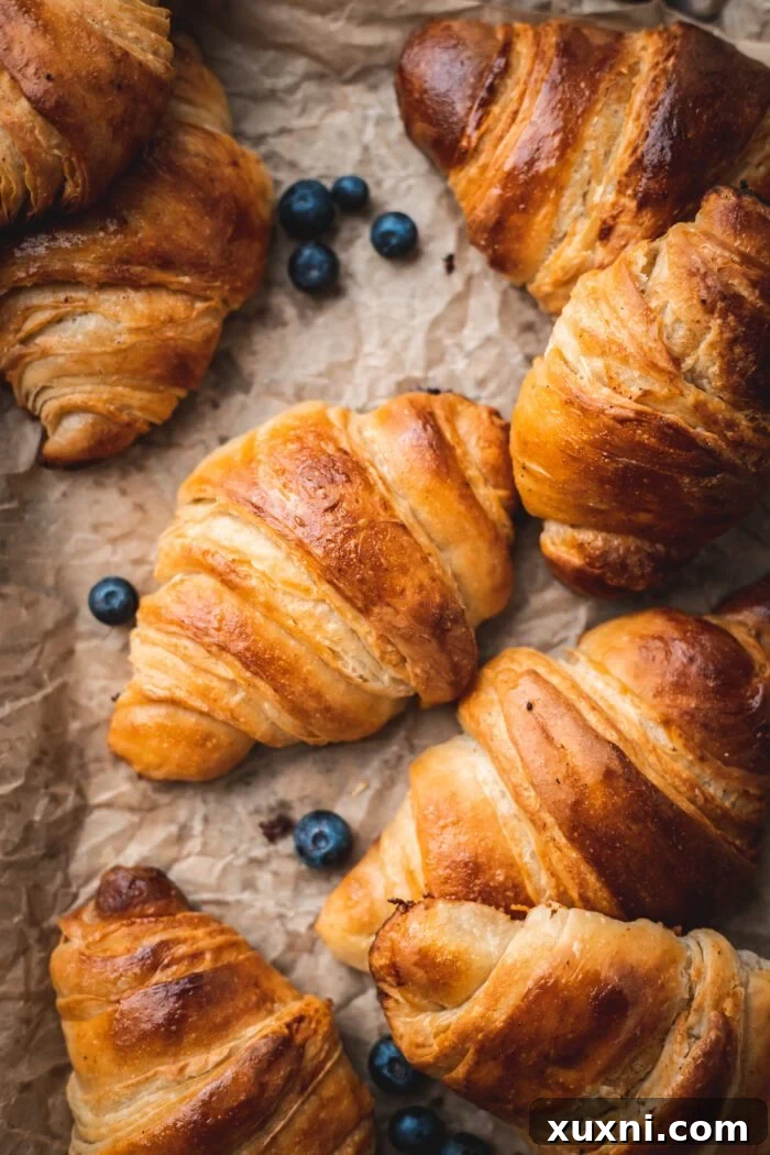 vegan croissants on baking sheet with blueberries