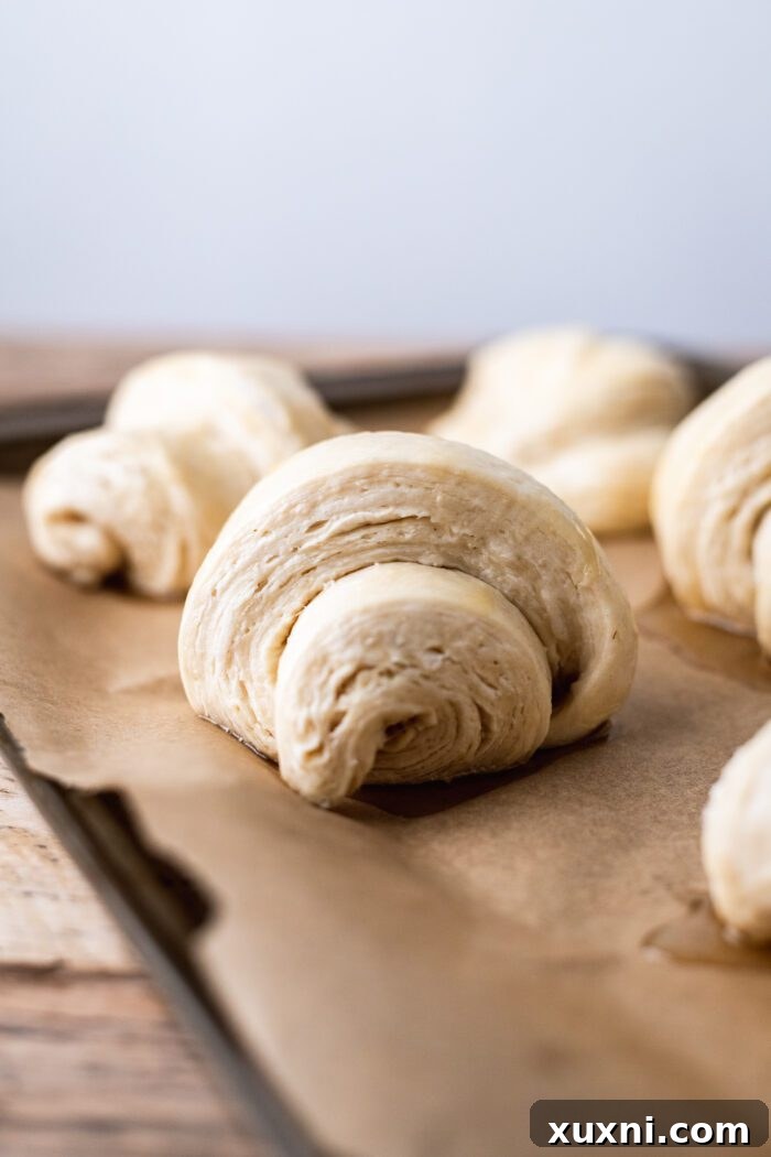 layers of lamination in vengeance croissants