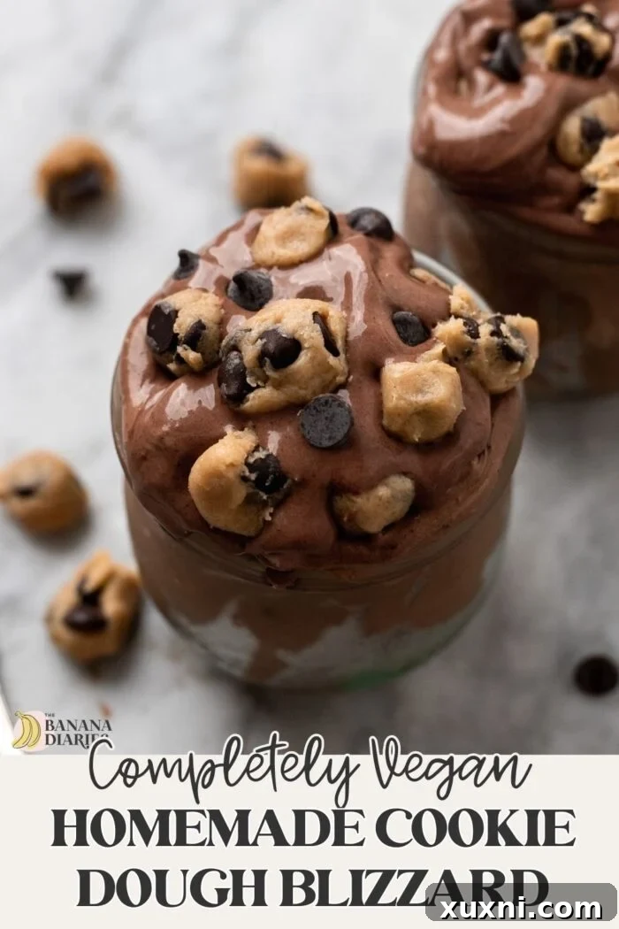 Homemade Vegan Chocolate Cookie Dough Blizzard Recipe pinterest pin