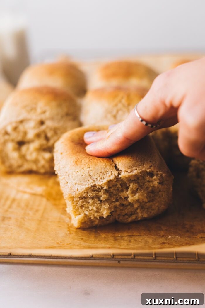 Pillowy Soft Gluten-Free Vegan Dinner Rolls, Made Easy 5 Pillowy soft & fluffy gluten free dinner rolls that are so easy to make. No bread machine, no xanthan gum, and vegan! Everyone loves these rolls, gluten free or not.