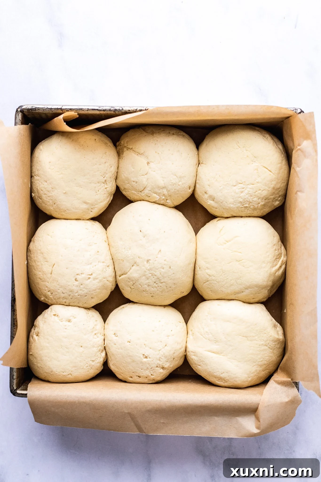Pillowy Soft Gluten-Free Vegan Dinner Rolls, Made Easy 7 gluten free dinner rolls before rising
