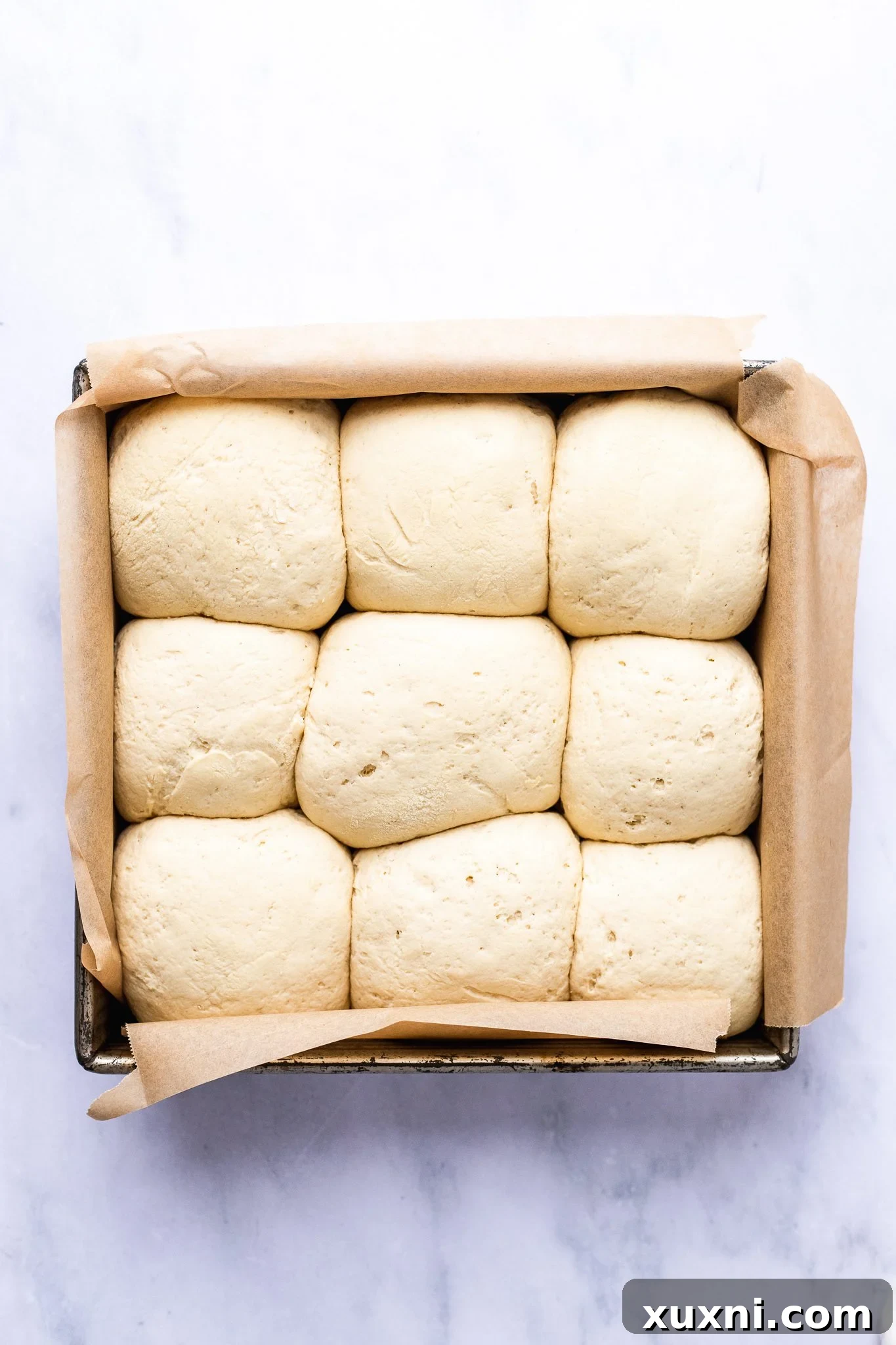 Pillowy Soft Gluten-Free Vegan Dinner Rolls, Made Easy 8 gluten free dinner rolls after rising