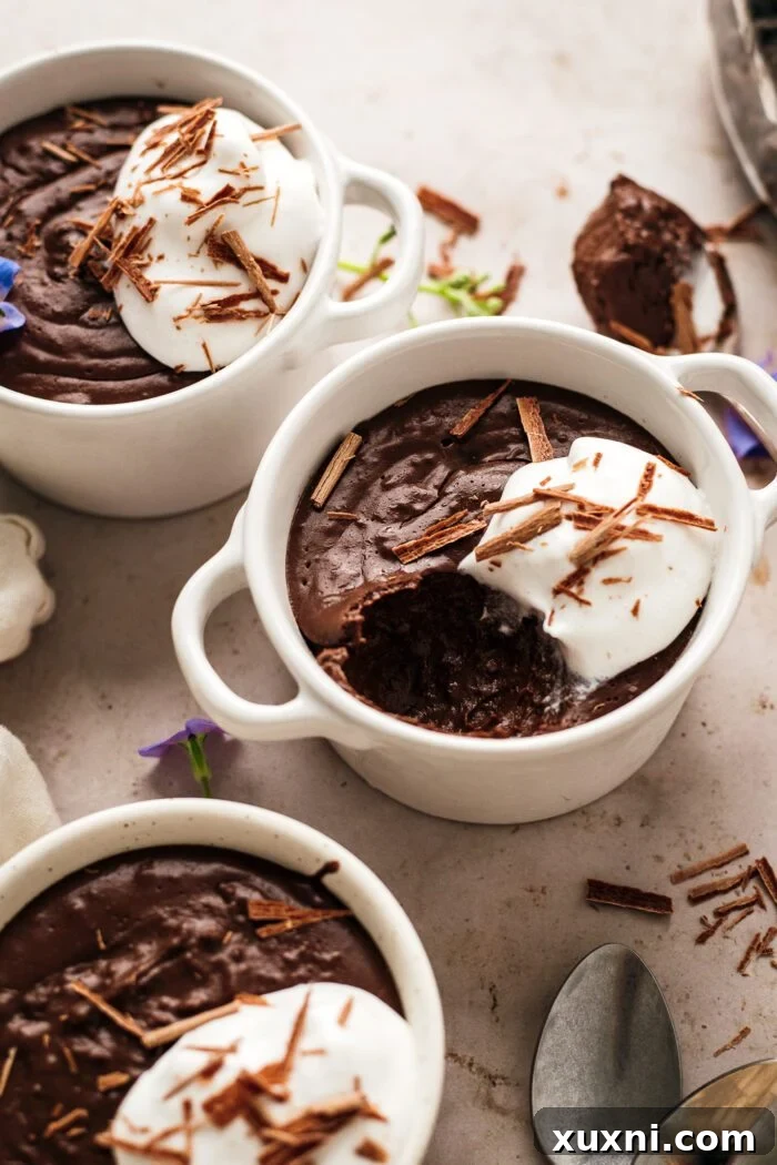 Quick and Easy Vegan Chocolate Pudding Dream 9 Close-up view of smooth, dark vegan chocolate pudding in a glass cup.