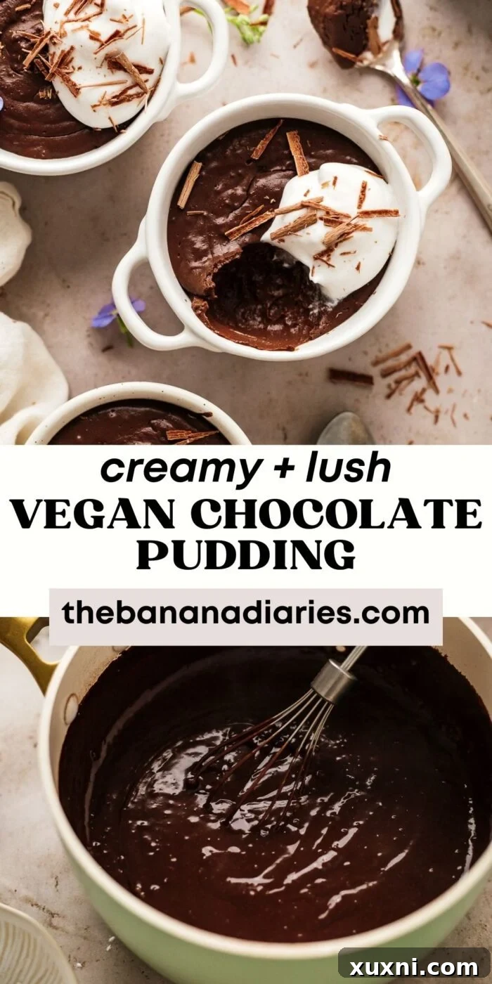 Quick and Easy Vegan Chocolate Pudding Dream 10 Vegan chocolate pudding recipe image for Pinterest with title 'Easy Vegan Chocolate Pudding (No Tofu!)'