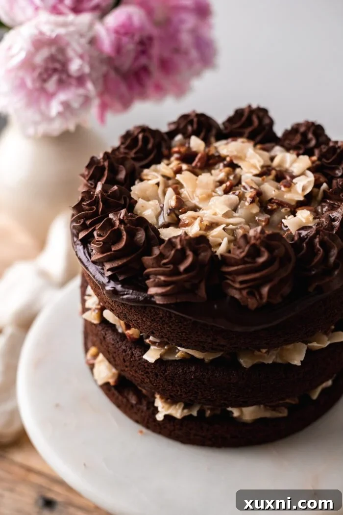Close-up of a slice of vegan German chocolate cake, showing the perfect layers of moist cake and rich coconut pecan filling.