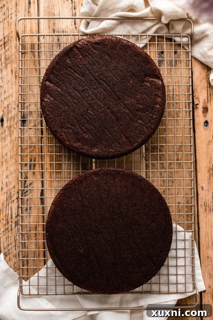 Three perfectly baked vegan chocolate cake layers cooling on a rack, ready for frosting.
