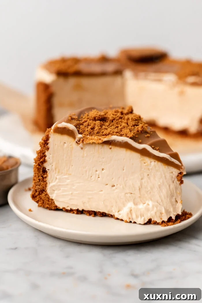 slice of vegan biscoff cheesecake on a plate