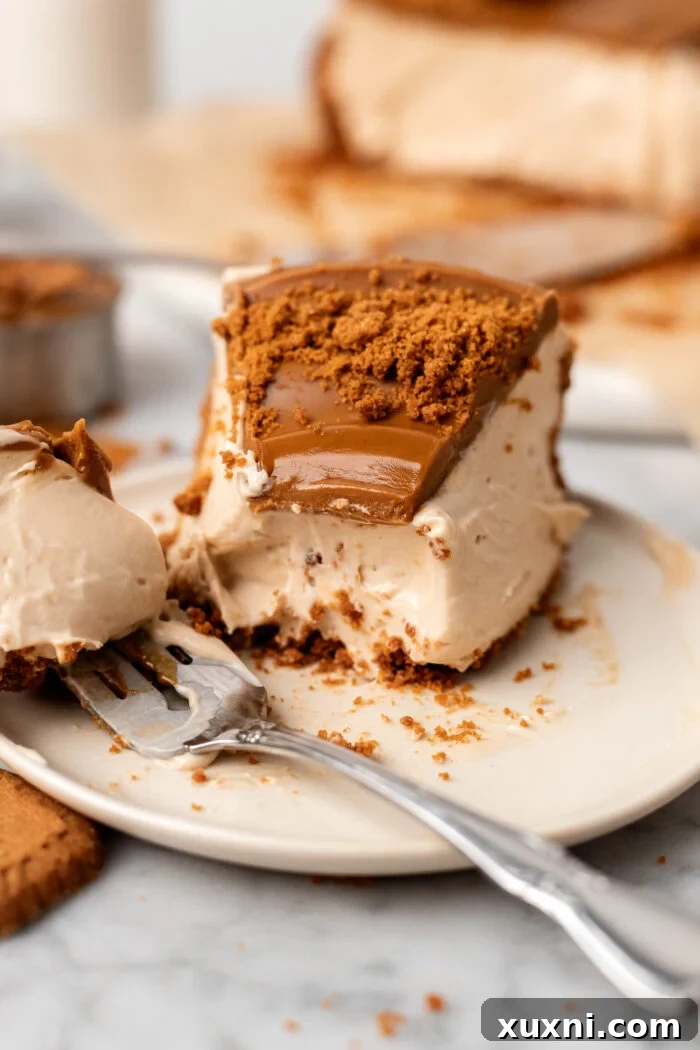 slice of eaten biscoff cheesecake