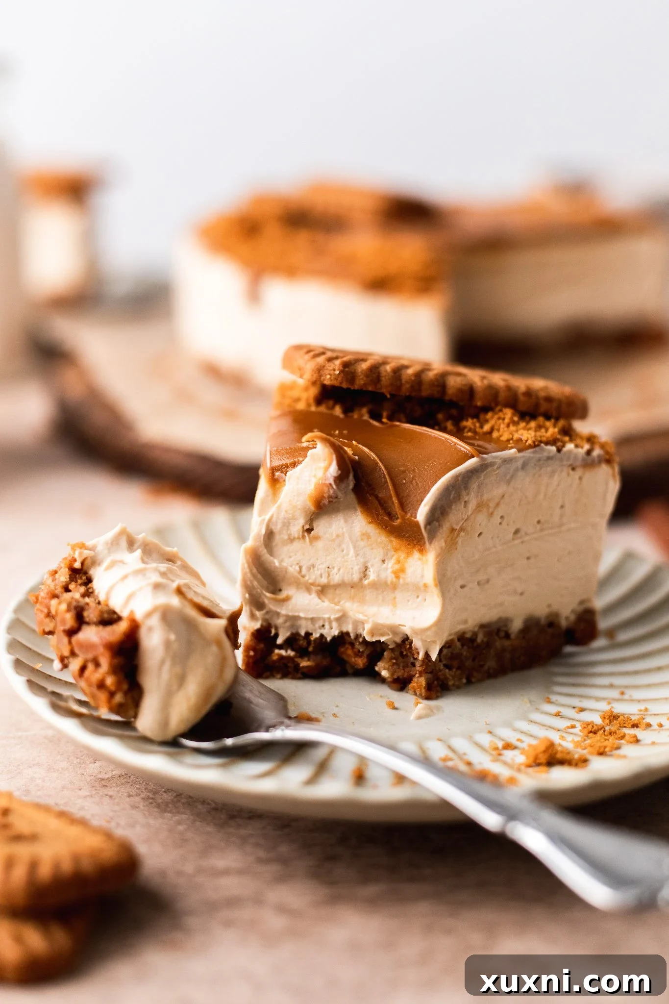 sliced vegan Biscoff cheesecake with a bite from it