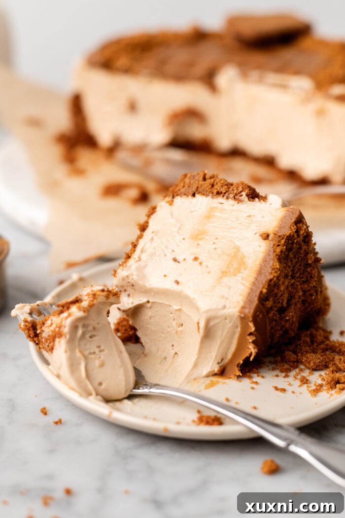 slice of eaten biscoff cheesecake
