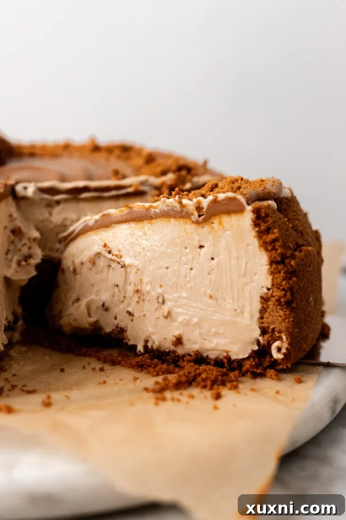 sliced biscoff cheesecake on a marble board