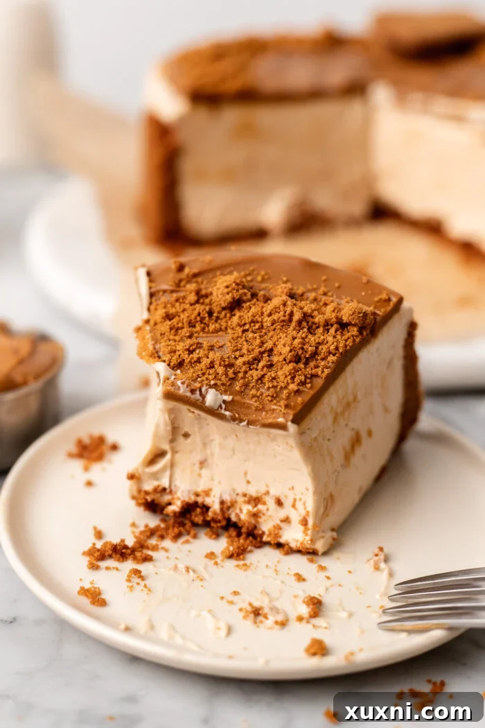 bitten slice of vegan biscoff cheesecake on a plate