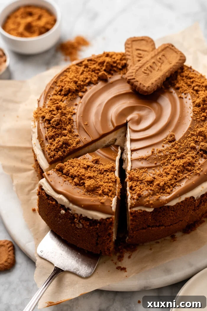 sliced vegan biscoff cheesecake