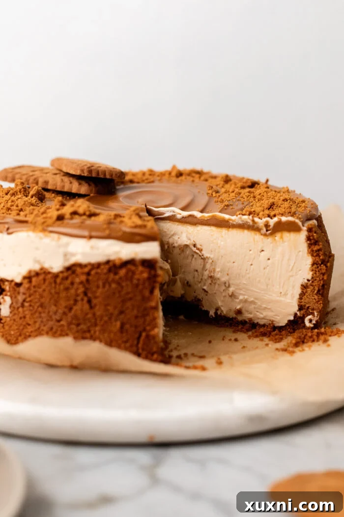 sliced vegan biscoff cheesecake on a marble board