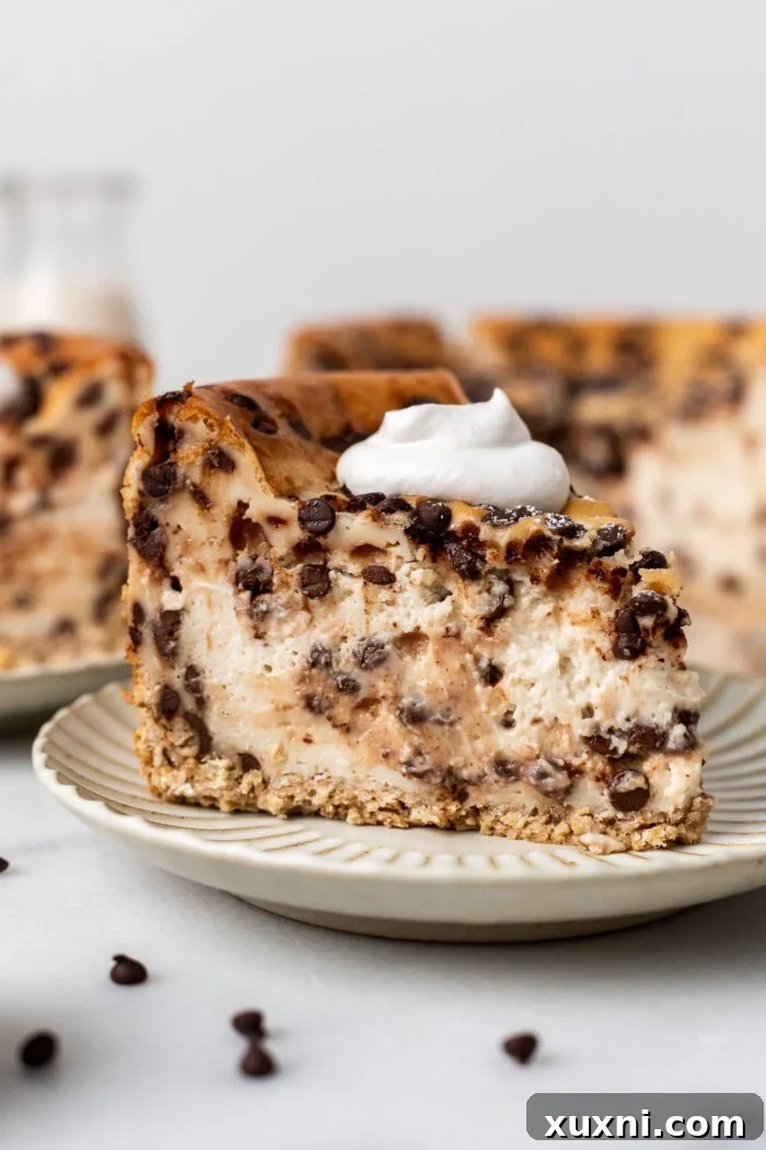 Luxurious Plant-Based Gluten-Free Cannoli Cheesecake 2 A perfectly sliced piece of vegan cannoli cheesecake on a pristine white plate, showcasing its creamy filling, chocolate chips, and crispy oat crust.