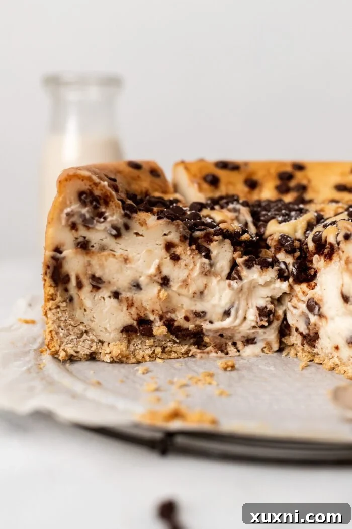Luxurious Plant-Based Gluten-Free Cannoli Cheesecake 11 A close-up shot of a single slice of vegan cannoli cheesecake, highlighting its creamy texture and chocolate chips, with a clean cut edge.